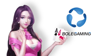 樂古娛樂BOLE棋牌.webp