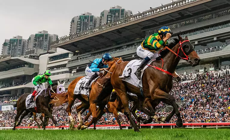 香港賽馬規則係點樣？玩馬不中伏基礎教學