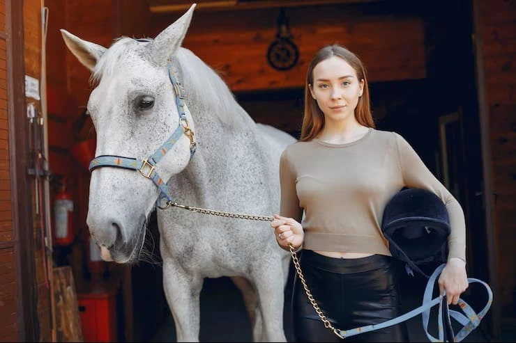 混血馬或地區培育馬（Crossbred _ Local breed）